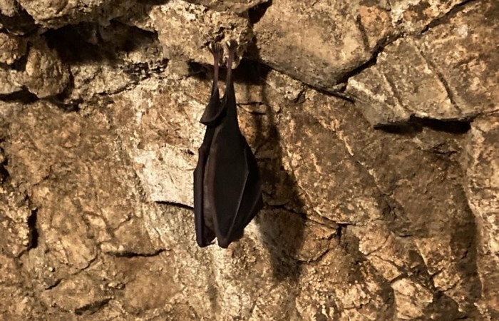 The coordinators' meeting in Košice, Slovakia 