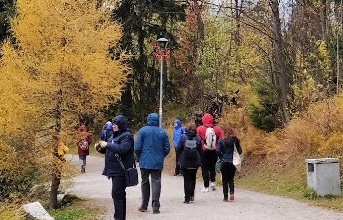 The coordinators' meeting in Košice, Slovakia 